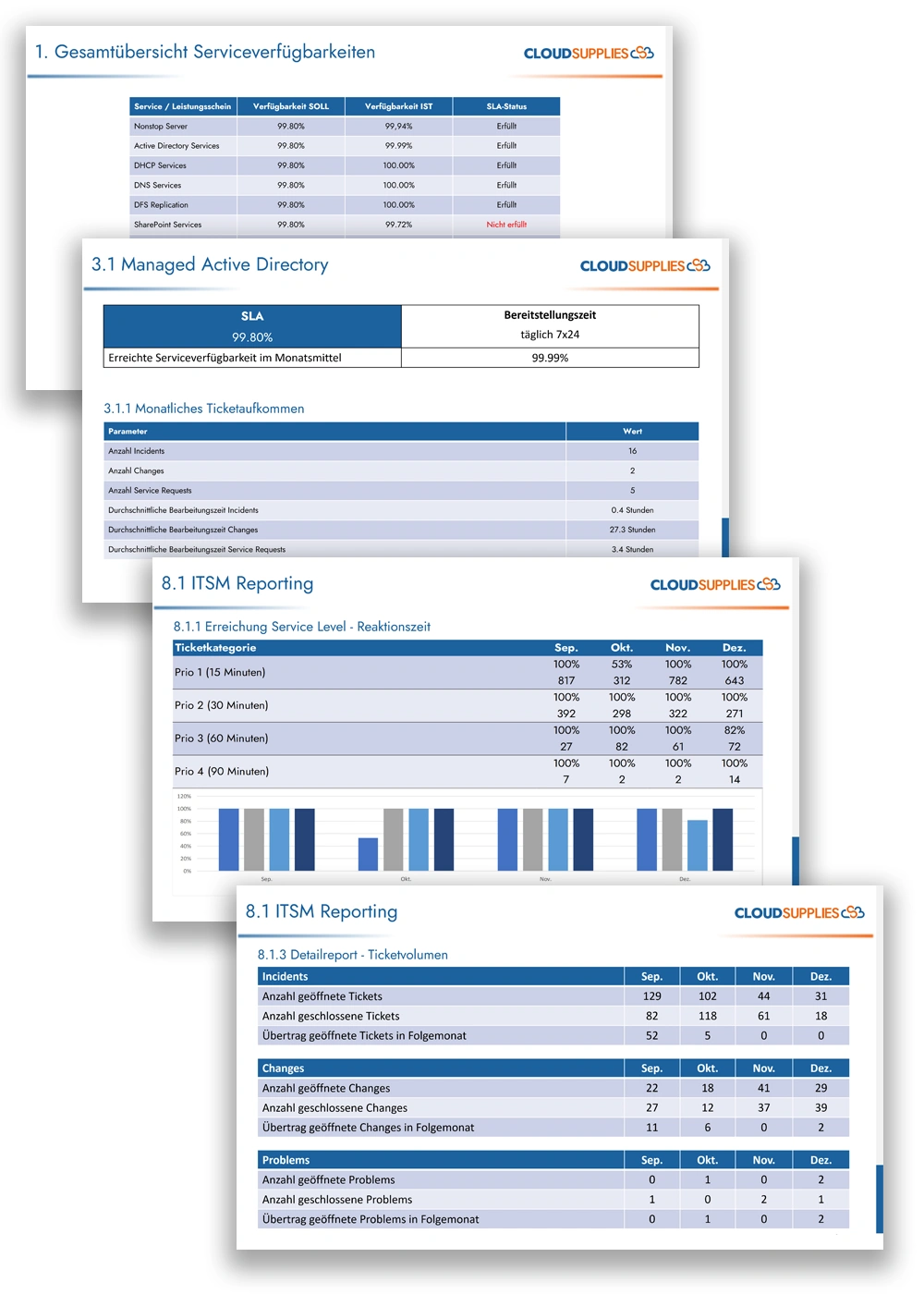 Beispielreport Beispielreport